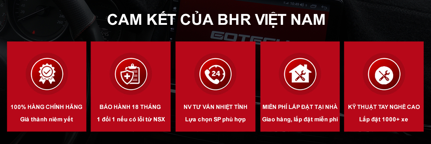 BHR Việt Nam - Địa chỉ lắp màn hình DVD OLED chính hãng tại Hà Nội